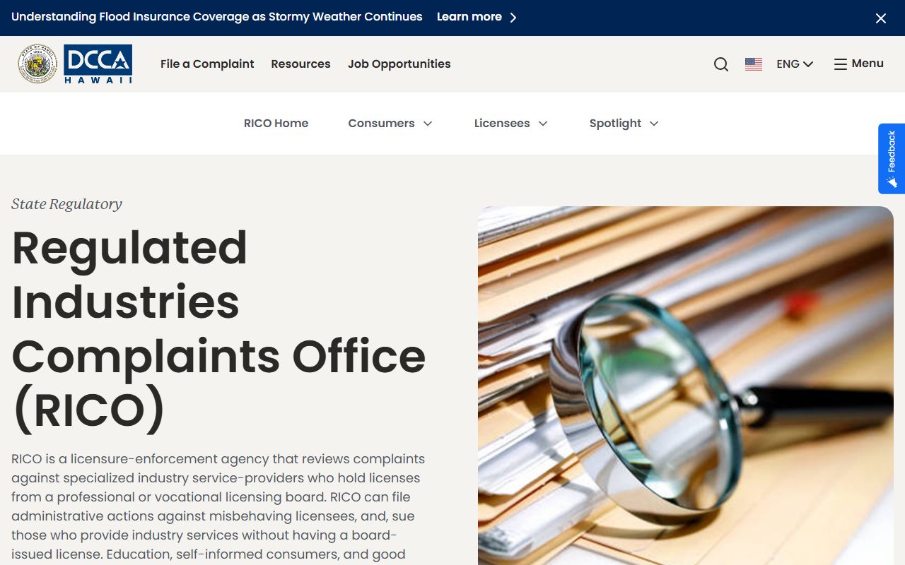 Hawaii RICO for licensed professionals in probate matters